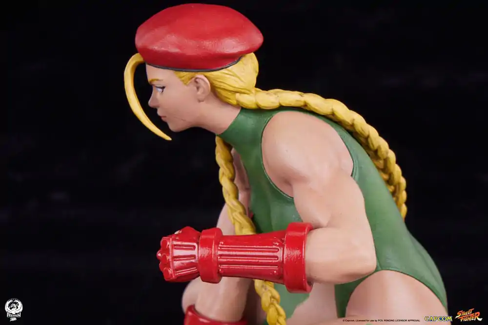Street Fighter PVC sochy 1/10 Cammy & Birdie 24 cm produktová fotografia