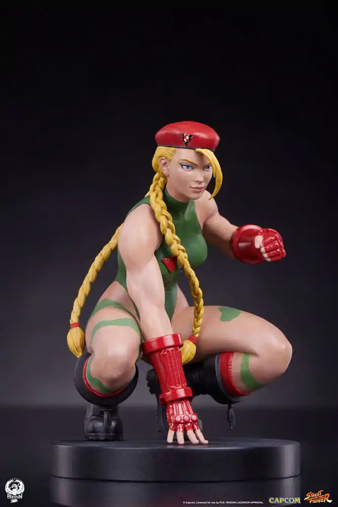Street Fighter PVC sochy 1/10 Cammy & Birdie 24 cm produktová fotografia