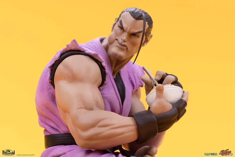 Street Fighter PVC sochy 1/10 Ryu & Dan 18 cm produktová fotografia