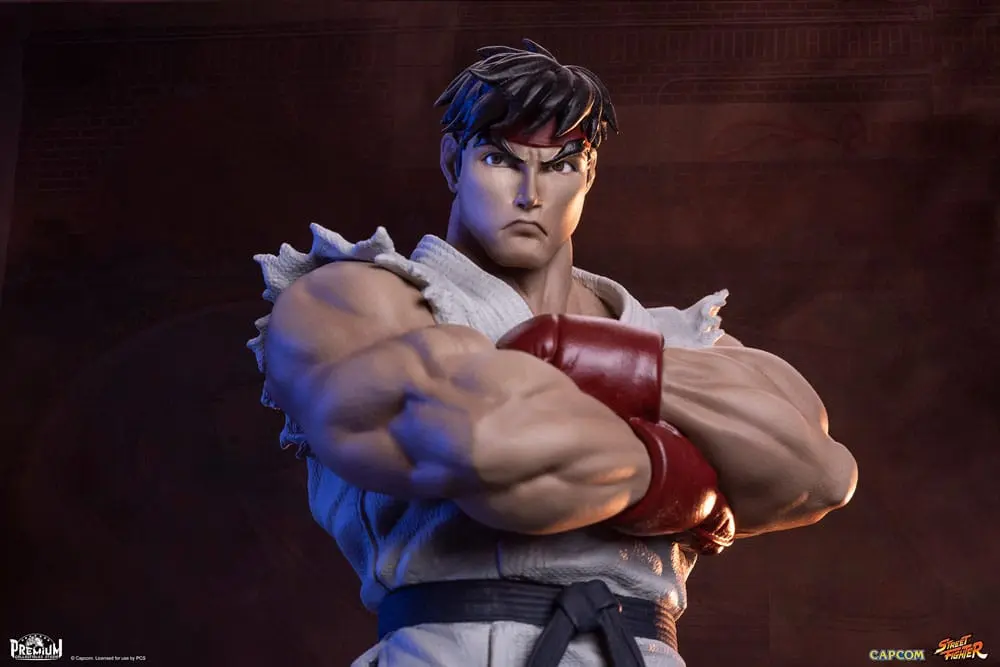 Street Fighter PVC sochy 1/10 Ryu & Dan 18 cm produktová fotografia
