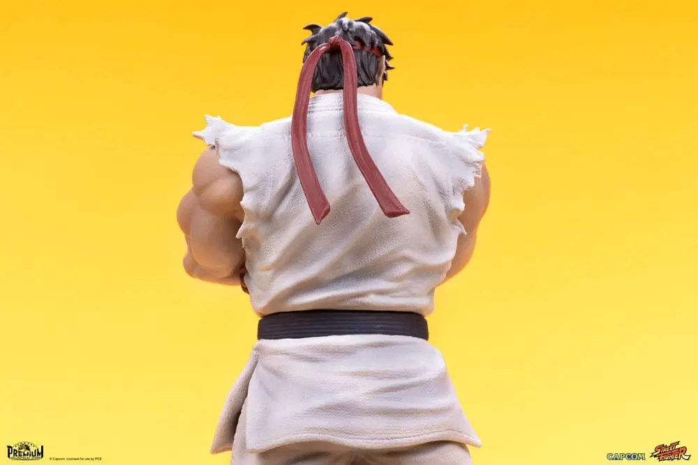 Street Fighter PVC sochy 1/10 Ryu & Dan 18 cm produktová fotografia
