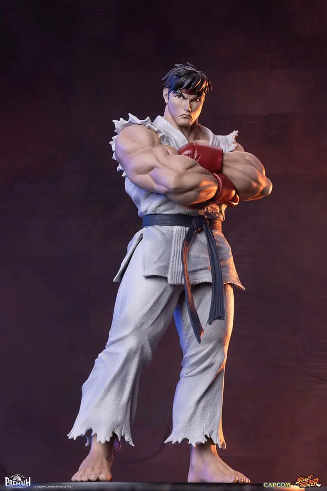Street Fighter PVC sochy 1/10 Ryu & Dan 18 cm produktová fotografia