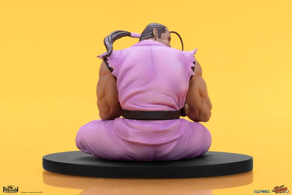 Street Fighter PVC sochy 1/10 Ryu & Dan 18 cm produktová fotografia