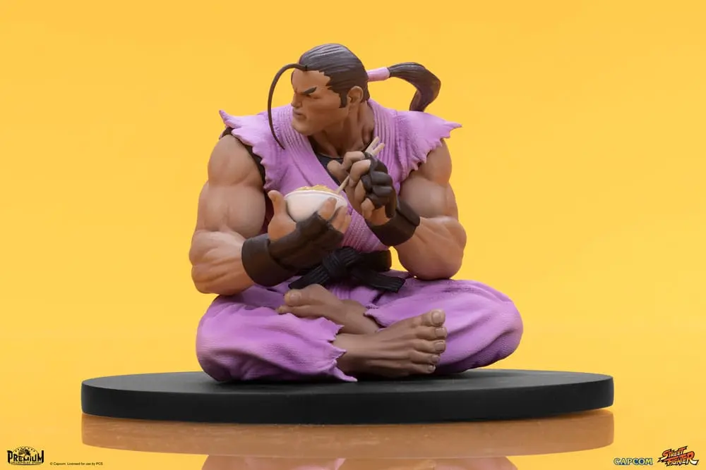 Street Fighter PVC sochy 1/10 Ryu & Dan 18 cm produktová fotografia