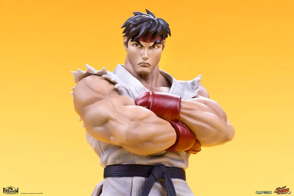Street Fighter PVC sochy 1/10 Ryu & Dan 18 cm produktová fotografia