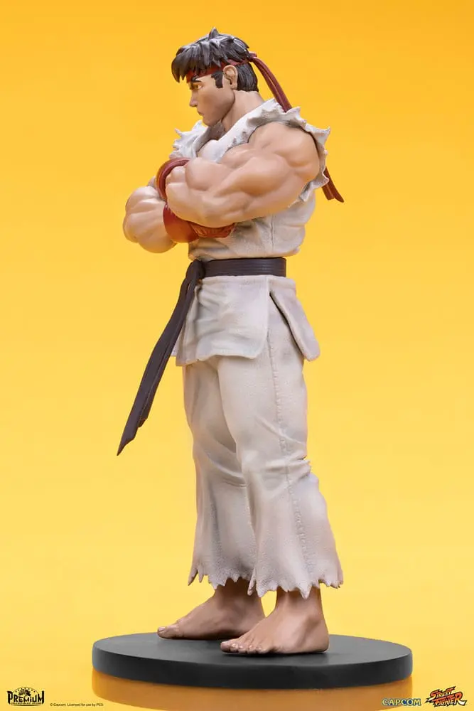 Street Fighter PVC sochy 1/10 Ryu & Dan 18 cm produktová fotografia
