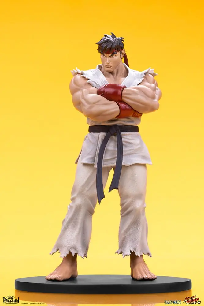 Street Fighter PVC sochy 1/10 Ryu & Dan 18 cm produktová fotografia