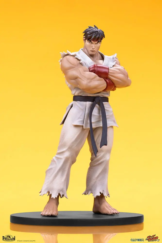 Street Fighter PVC sochy 1/10 Ryu & Dan 18 cm produktová fotografia