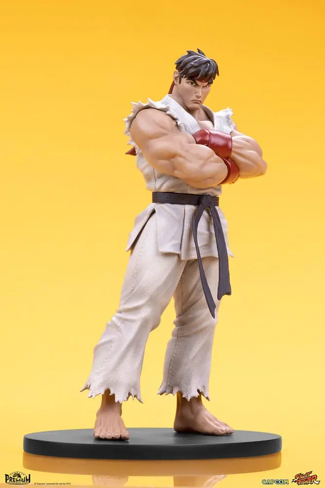 Street Fighter PVC sochy 1/10 Ryu & Dan 18 cm produktová fotografia