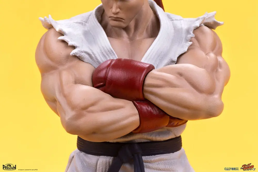 Street Fighter PVC sochy 1/10 Ryu & Dan 18 cm produktová fotografia