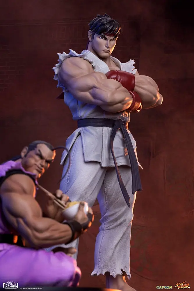 Street Fighter PVC sochy 1/10 Ryu & Dan 18 cm produktová fotografia