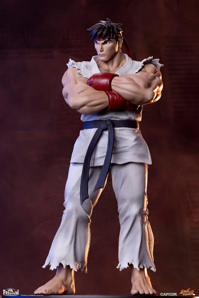 Street Fighter PVC sochy 1/10 Ryu & Dan 18 cm produktová fotografia