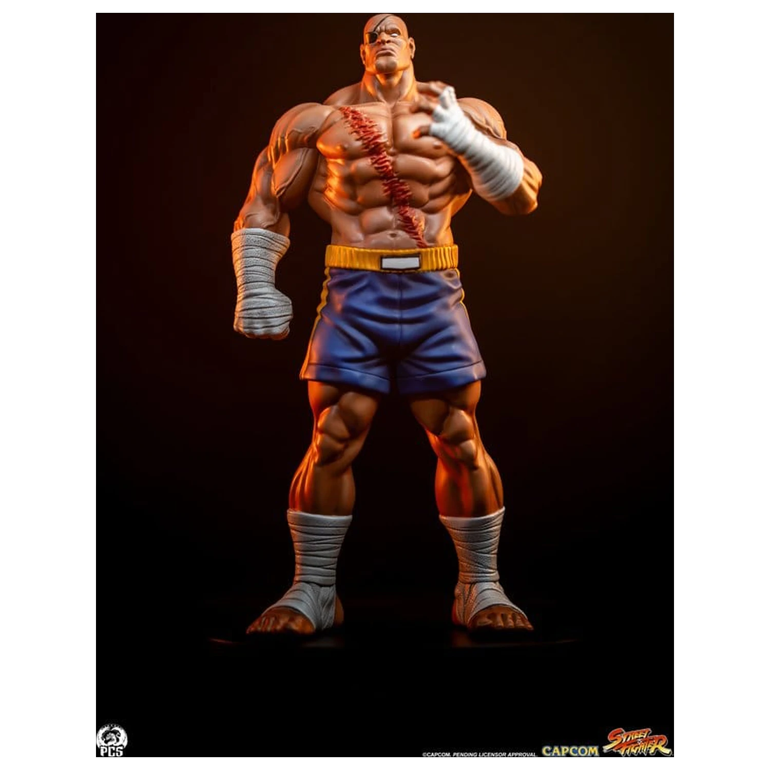 Street Fighter Street Jam sochy 1/10 Sagat & Juli 24 cm produktová fotografia
