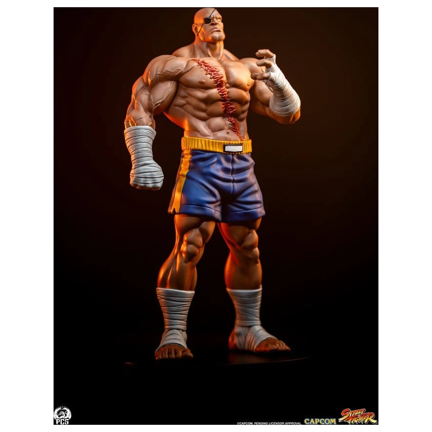 Street Fighter Street Jam sochy 1/10 Sagat & Juli 24 cm produktová fotografia