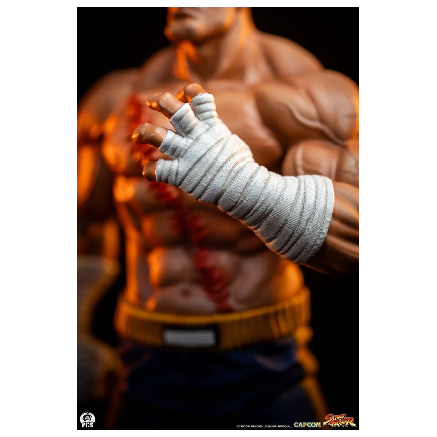 Street Fighter Street Jam sochy 1/10 Sagat & Juli 24 cm produktová fotografia