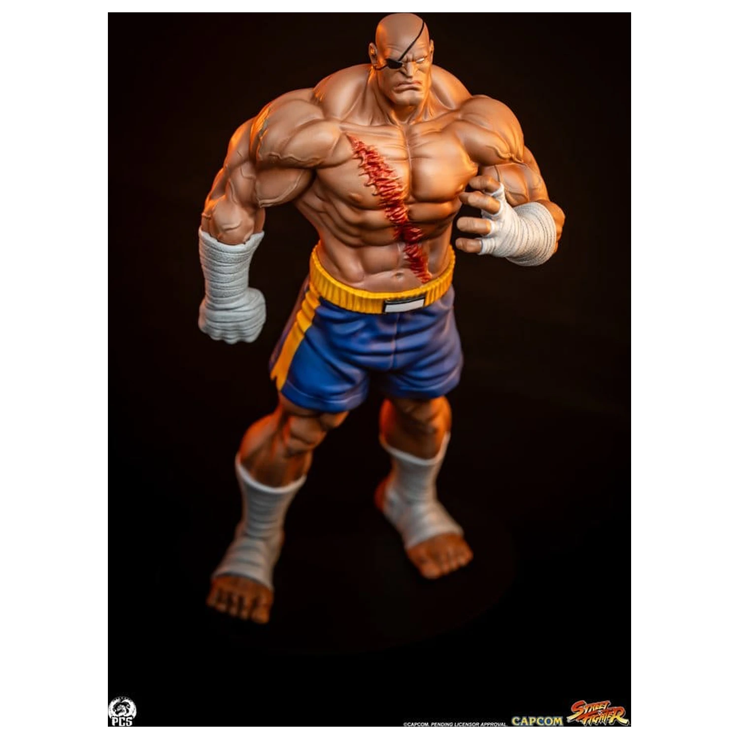 Street Fighter Street Jam sochy 1/10 Sagat & Juli 24 cm produktová fotografia