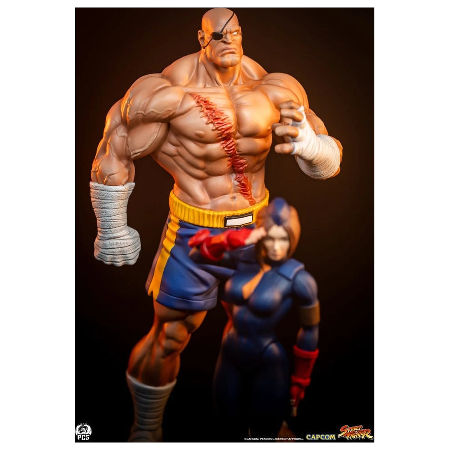Street Fighter Street Jam sochy 1/10 Sagat & Juli 24 cm produktová fotografia