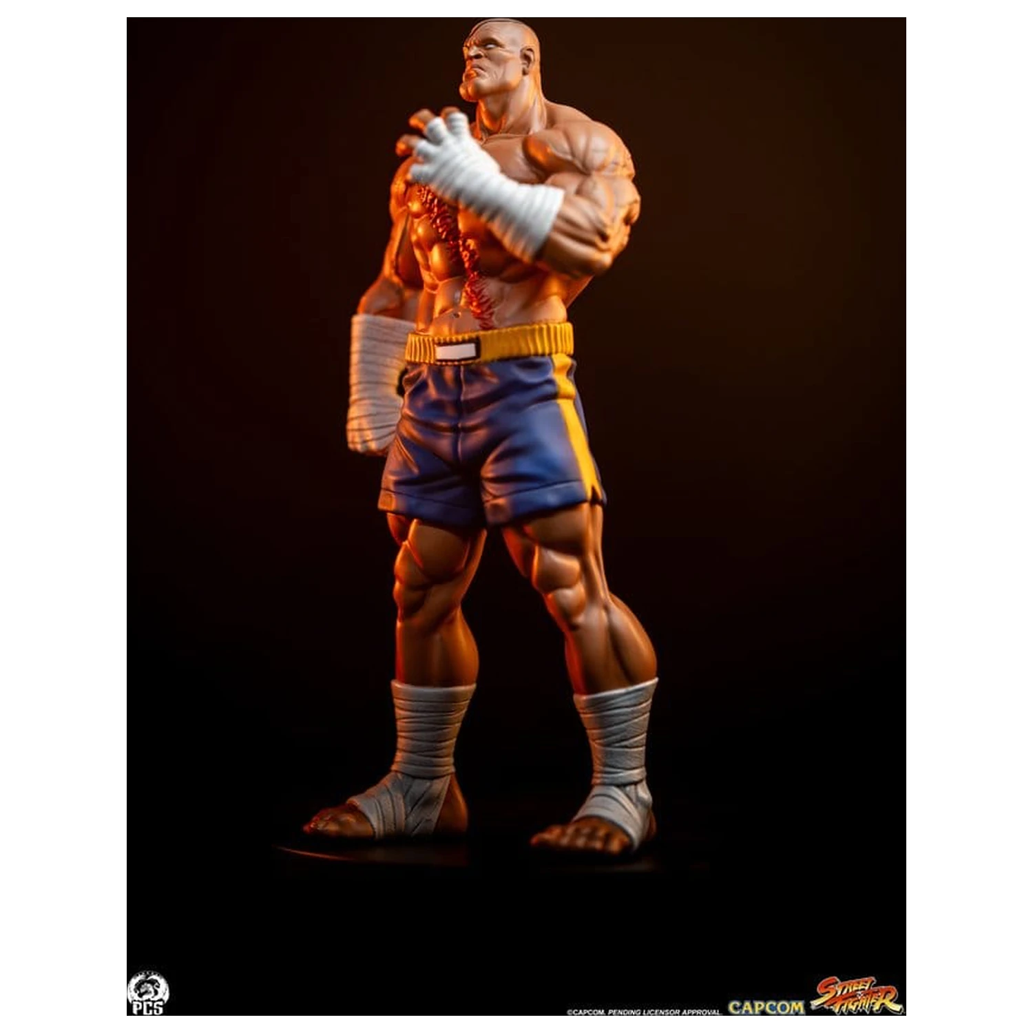 Street Fighter Street Jam sochy 1/10 Sagat & Juli 24 cm produktová fotografia