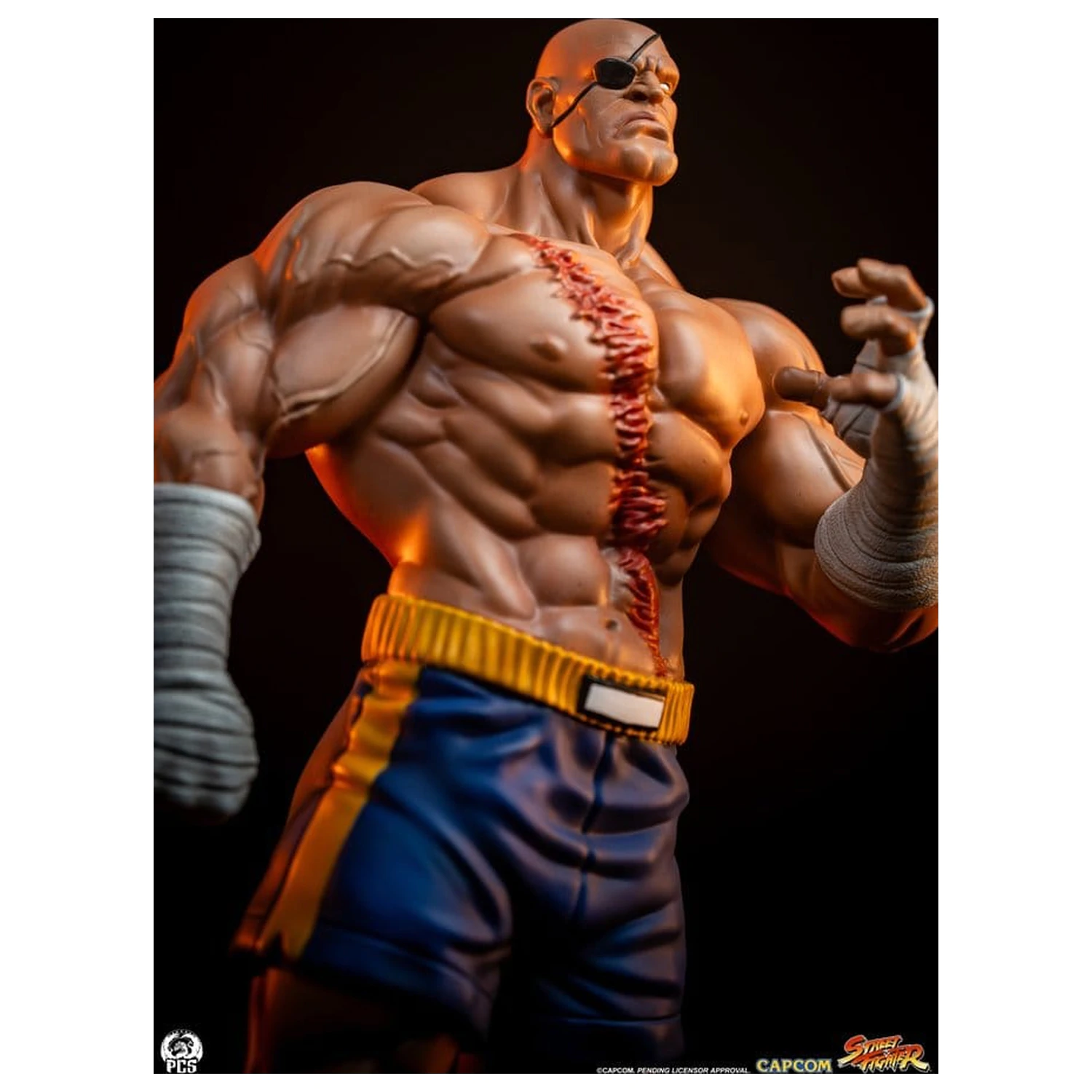 Street Fighter Street Jam sochy 1/10 Sagat & Juli 24 cm produktová fotografia