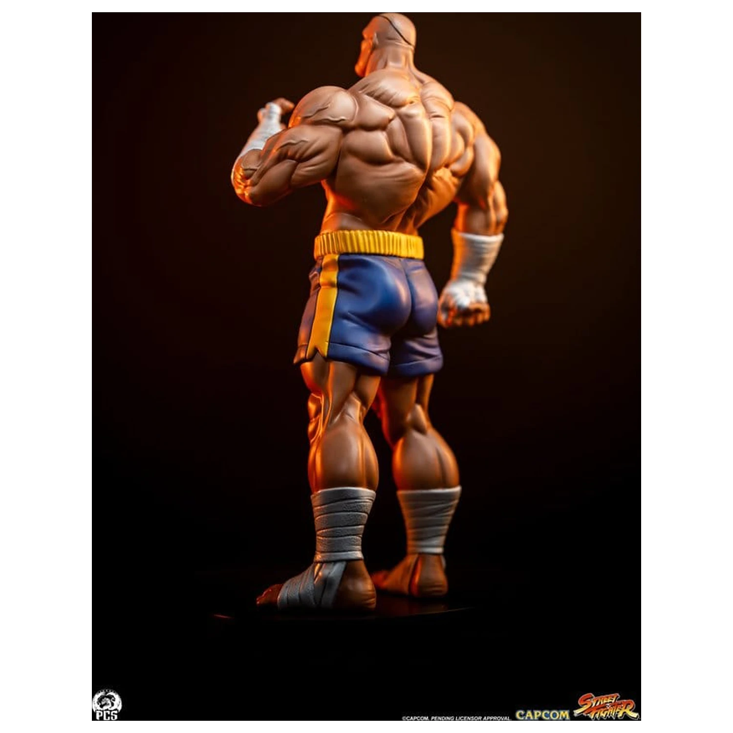 Street Fighter Street Jam sochy 1/10 Sagat & Juli 24 cm produktová fotografia