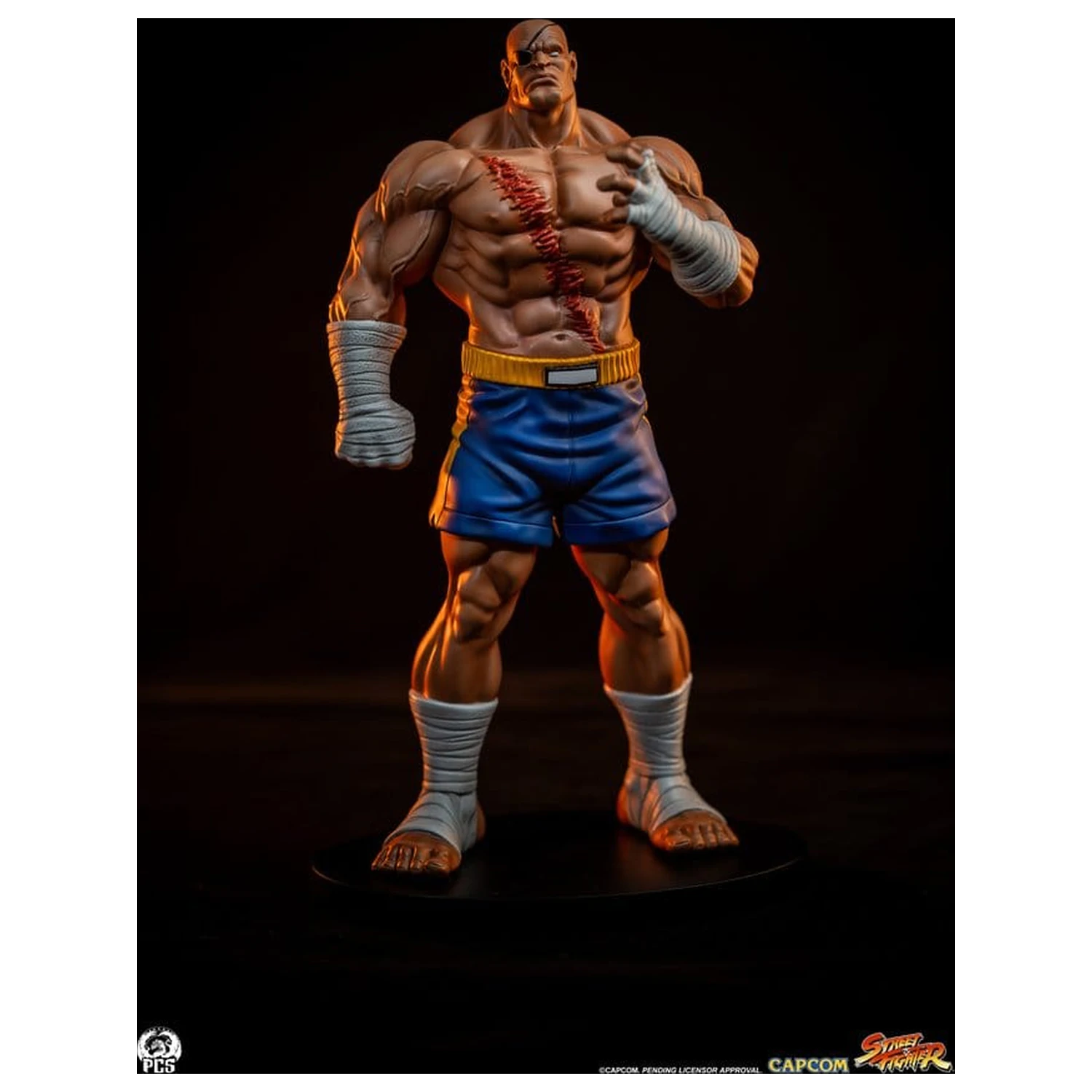 Street Fighter Street Jam sochy 1/10 Sagat & Juli 24 cm produktová fotografia