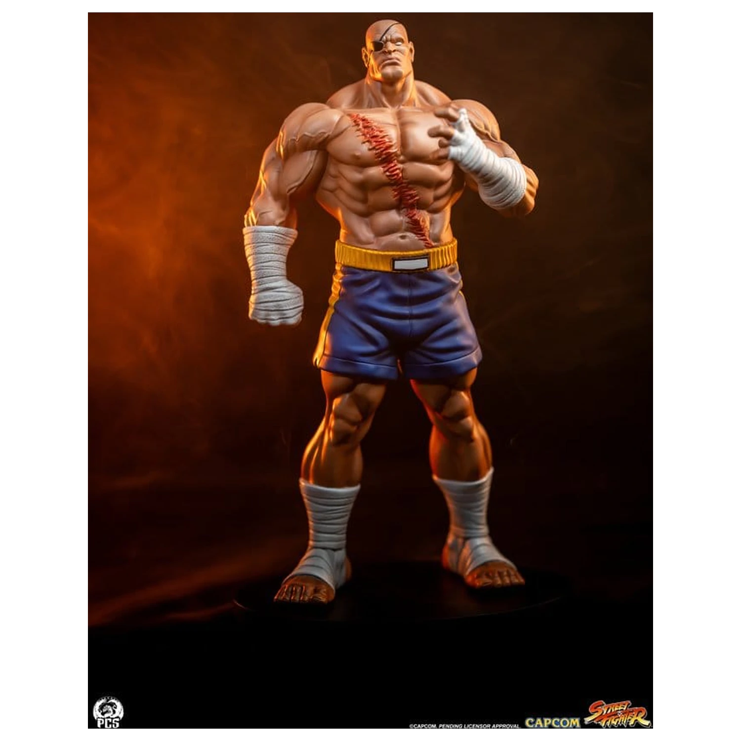 Street Fighter Street Jam sochy 1/10 Sagat & Juli 24 cm produktová fotografia