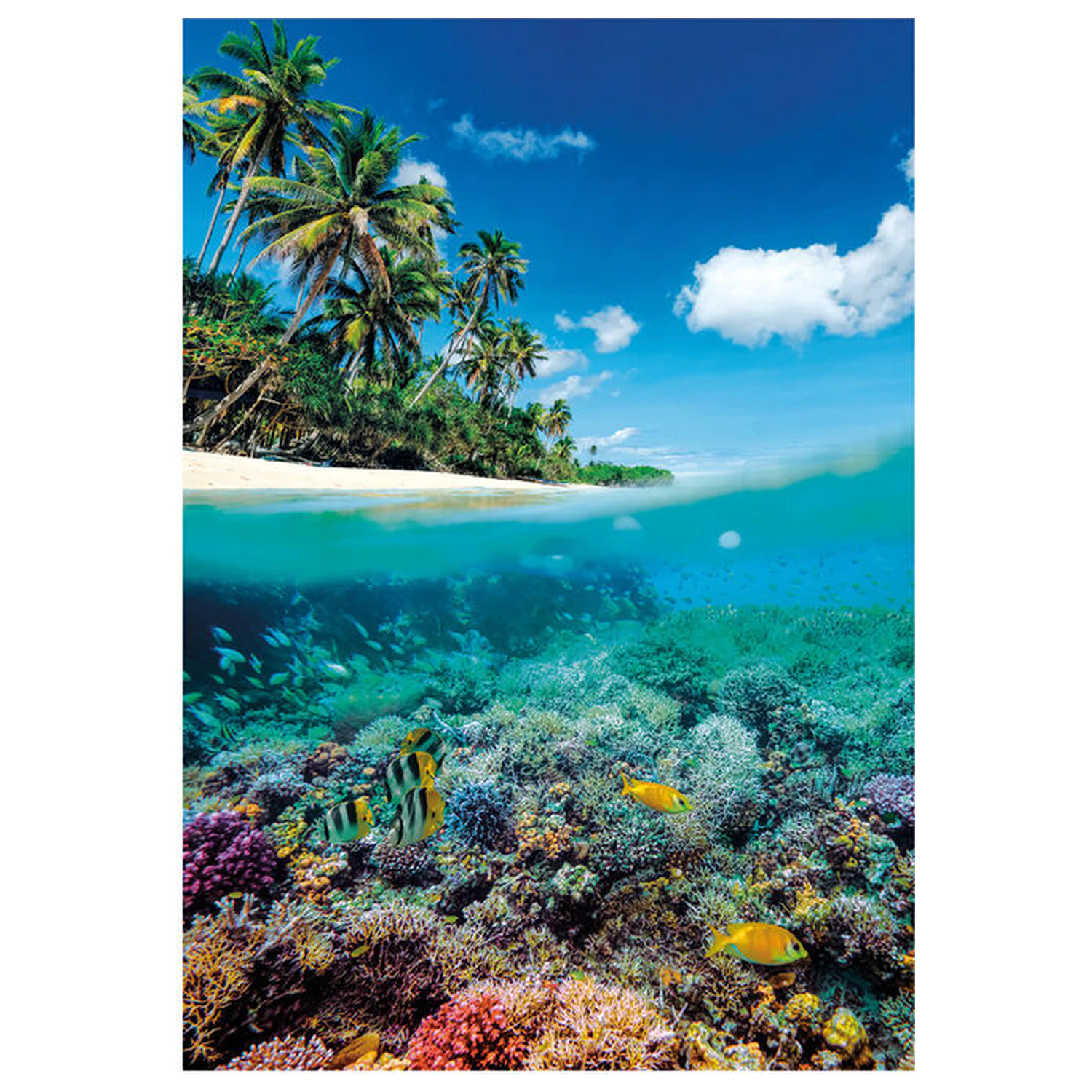 Summer Paradise puzzle 1000 kusov produktová fotografia