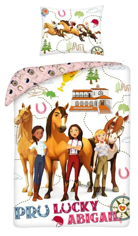 Spirit súprava obliečok na paplón 140x200cm, 70x90cm produktová fotografia