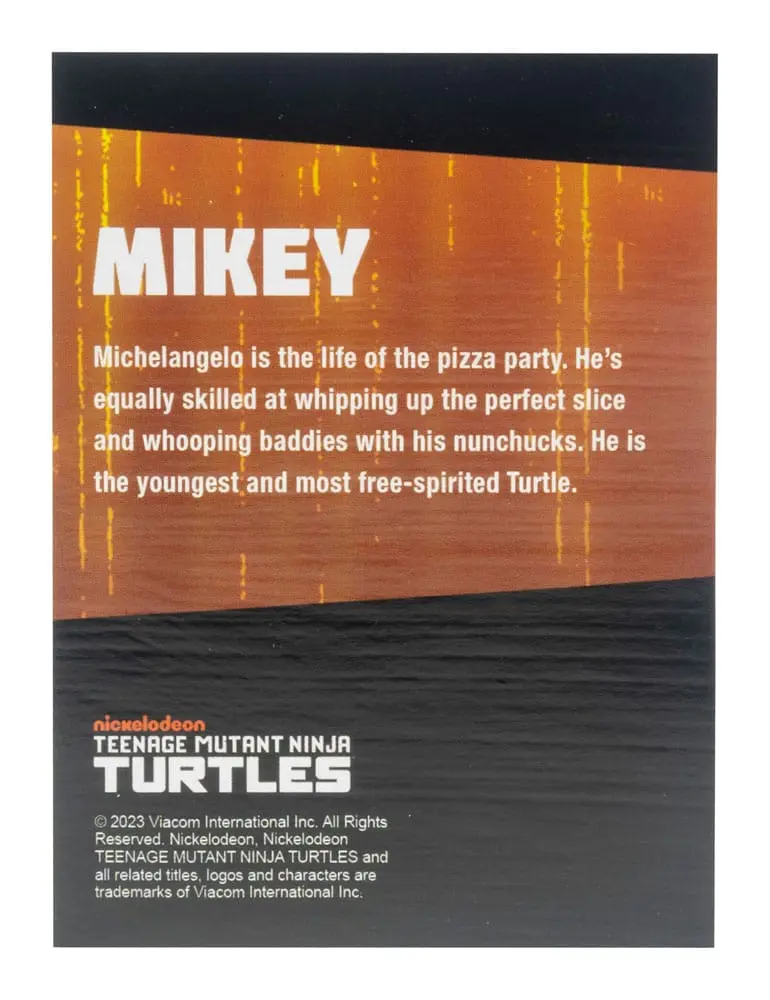 Teenage Mutant Ninja Turtles BST AXN Akčné figúrky 4-balenie Black&White (IDW Comics) 13 cm produktová fotografia