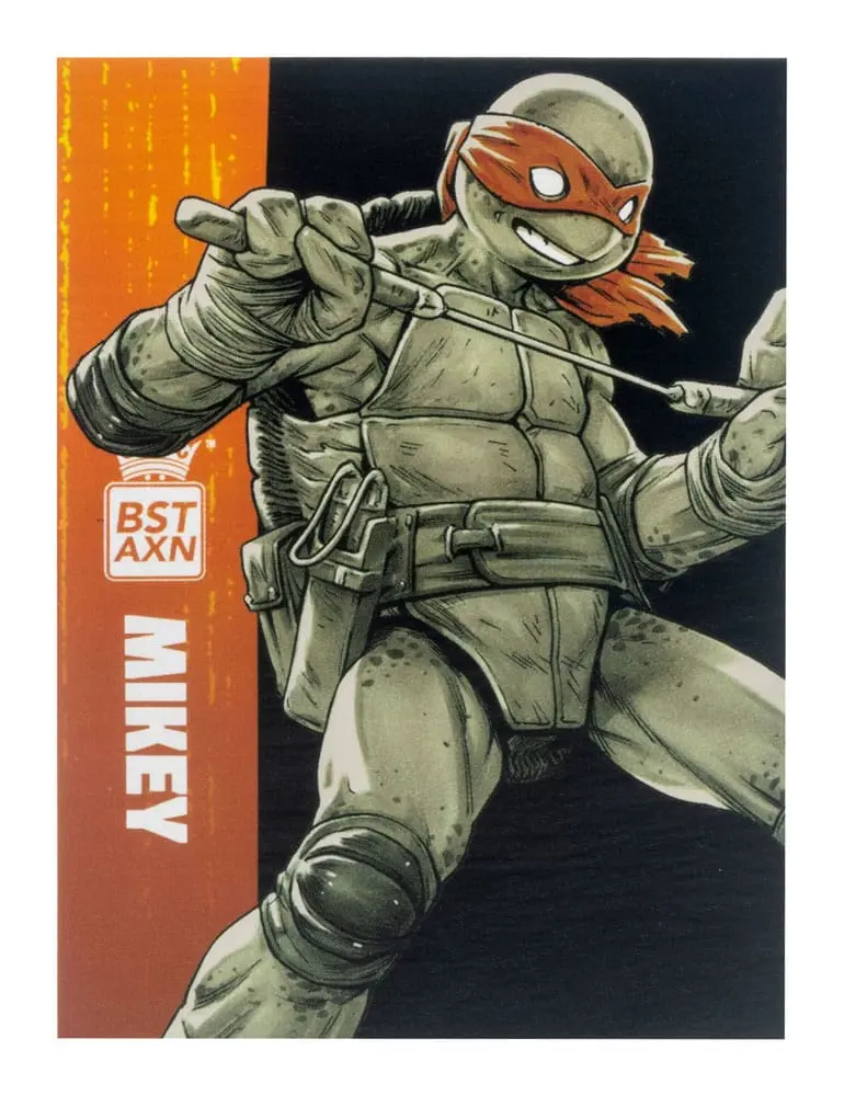 Teenage Mutant Ninja Turtles BST AXN Akčné figúrky 4-balenie Black&White (IDW Comics) 13 cm produktová fotografia