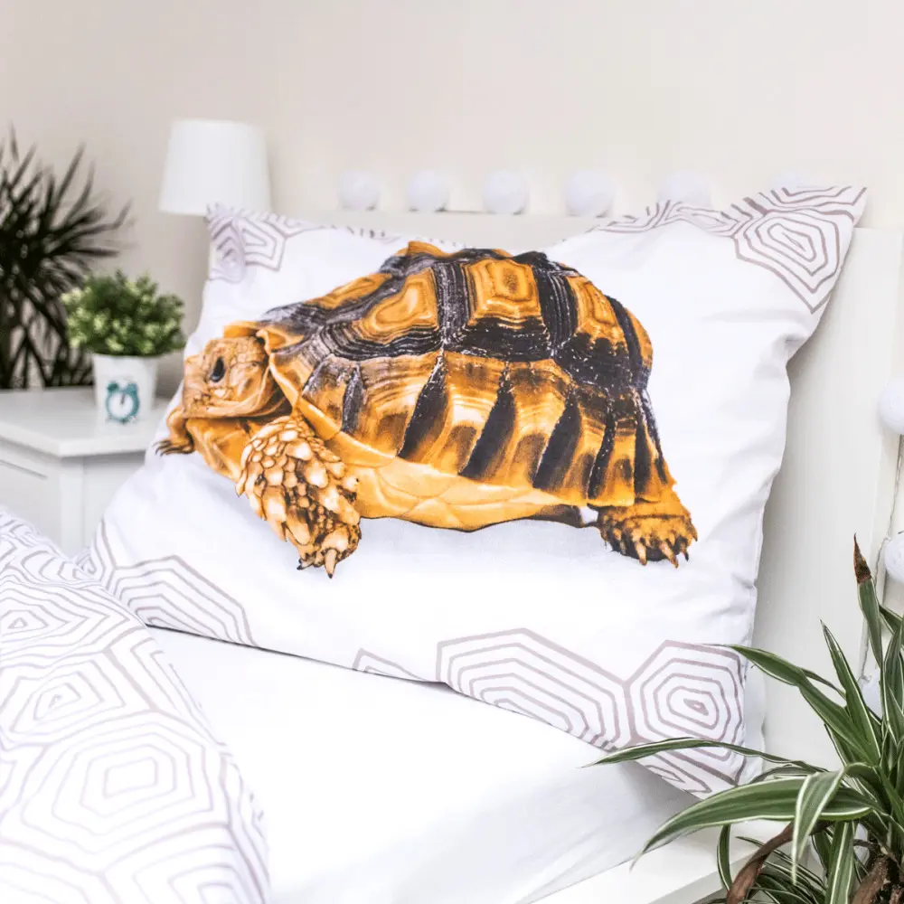 Obliečka na paplón Turtle 140x200 cm, 70x90 cm produktová fotografia