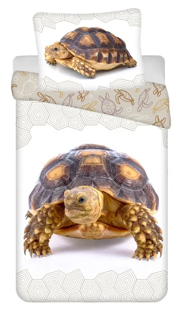 Obliečka na paplón Turtle 140x200 cm, 70x90 cm produktová fotografia