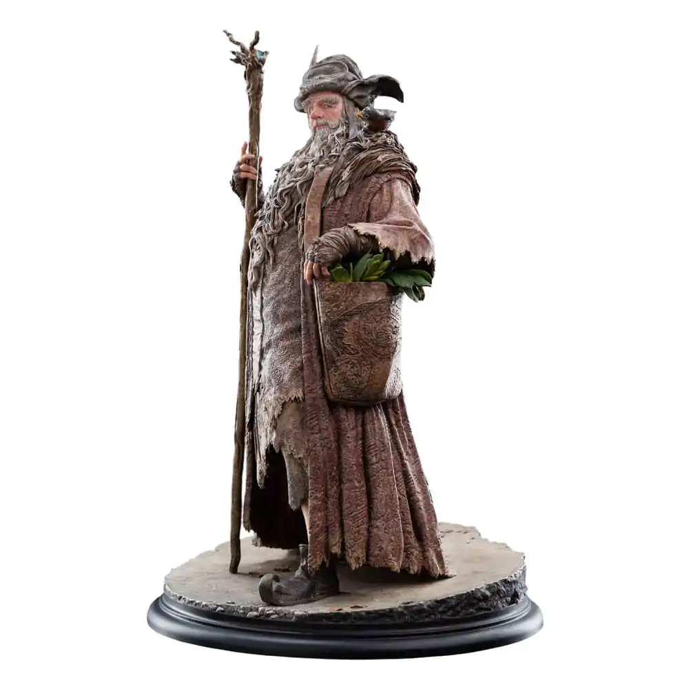 The Lord of the Rings Socha 1/6 Radagast 30 cm produktová fotografia