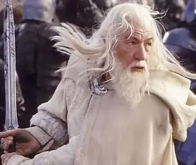 The Lord of the Rings Figures of Fandom PVC socha Gandalf the White 23 cm produktová fotografia