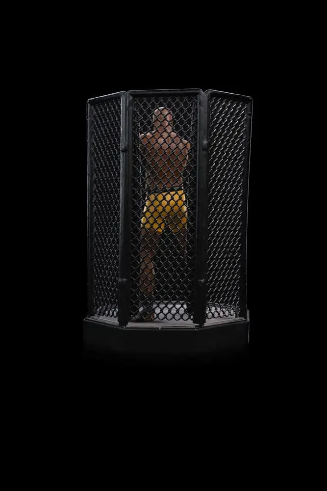 UFC Deluxe Art Scale Socha 1/10 Anderson 