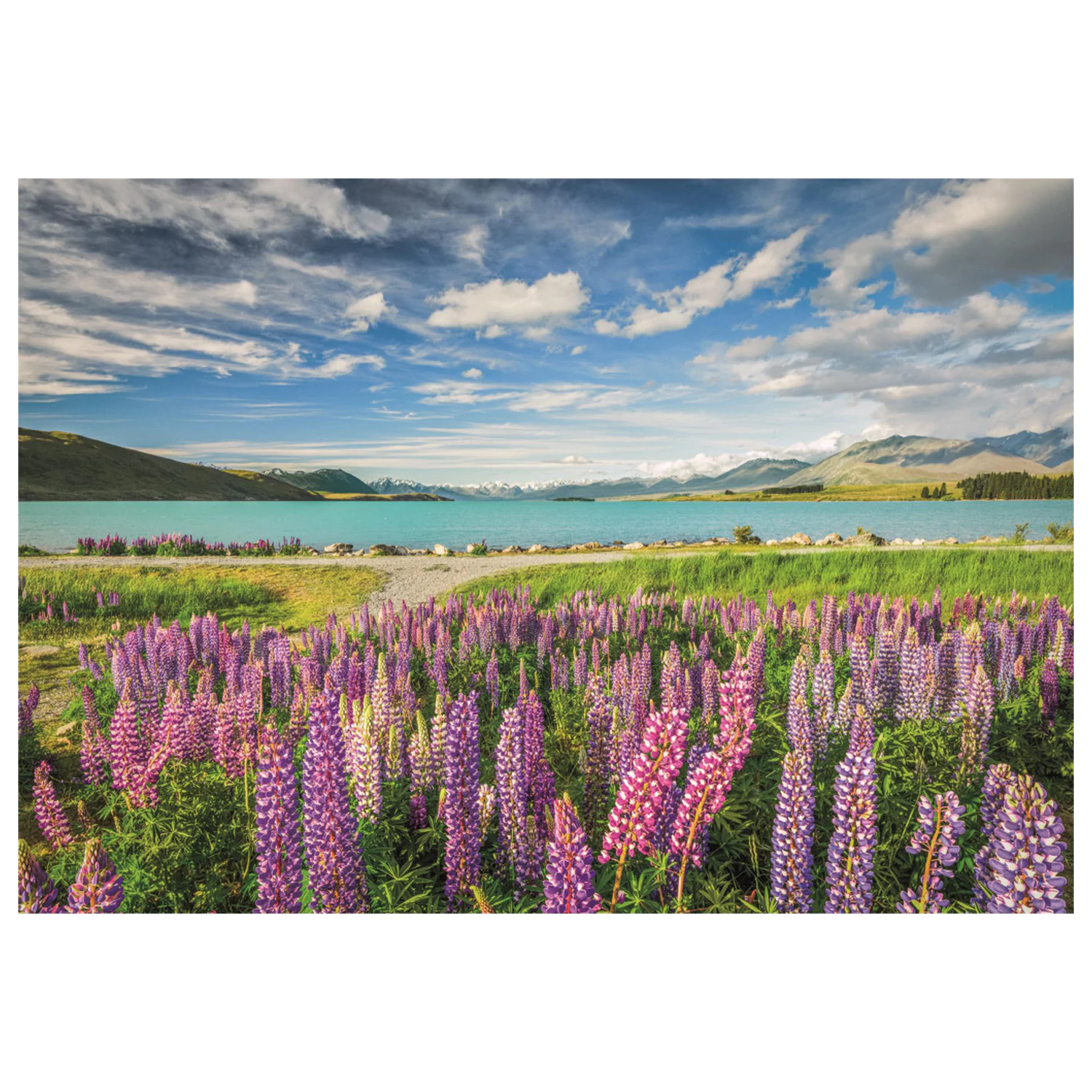 New Zealand Lake Tekapo 1500-dielne puzzle produktová fotografia