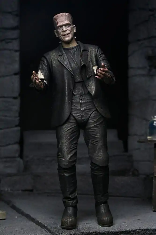 Universal Monsters akčné figúrky 2-balenie Bride of Frankenstein 90. výročie The Monster & His Mate 18 cm produktová fotografia