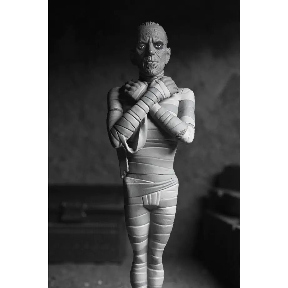 Universal Monsters The Mummy Black & White The Mummy Toony Terrors figúrka 15 cm produktová fotografia