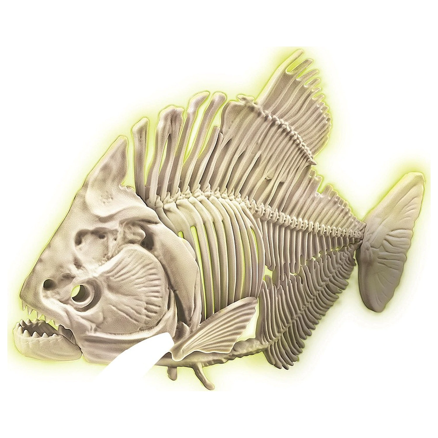 Glowing Piranha Archeo Fun Archeologická súprava produktová fotografia