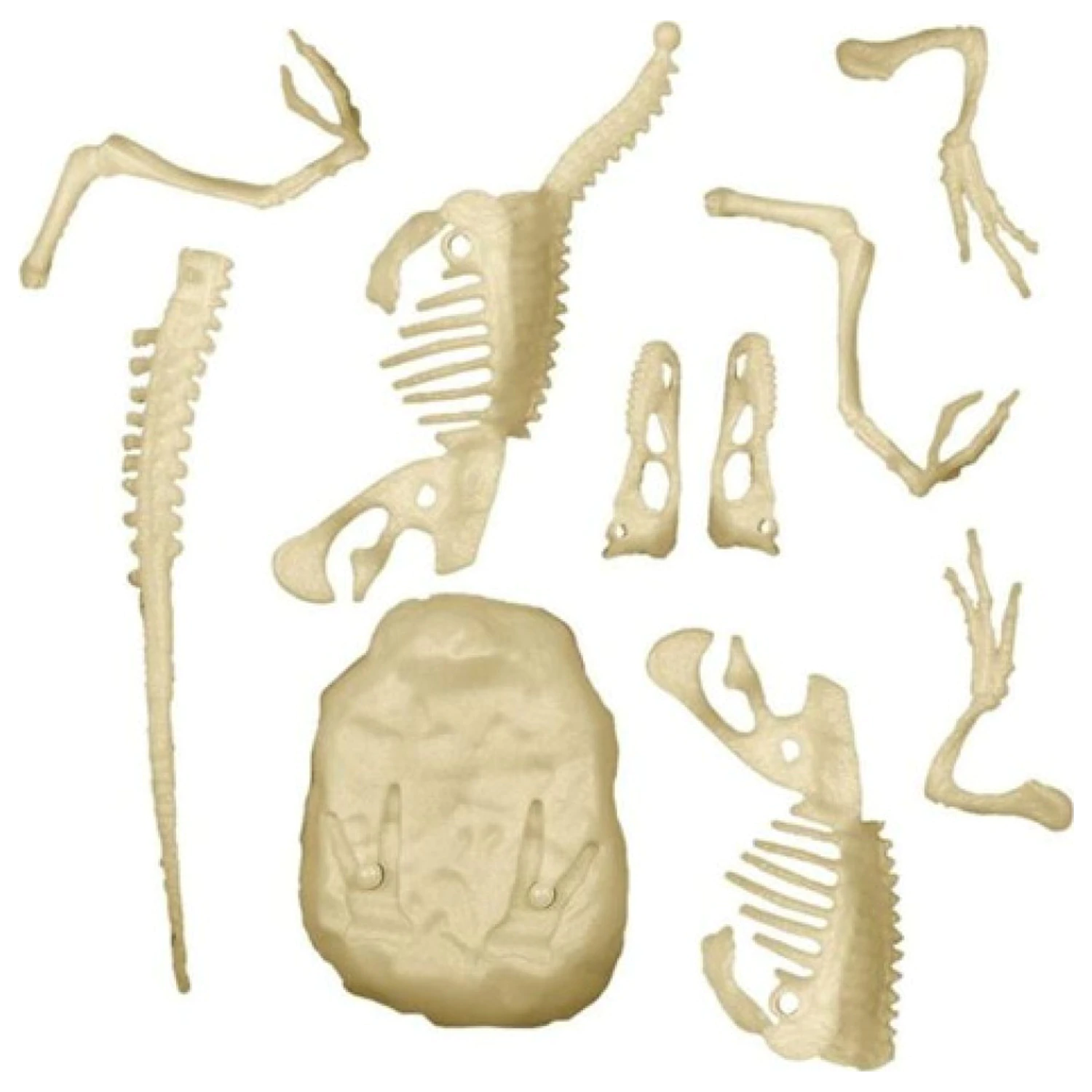 Light-Up Velociraptor Archeo Fun archeologický set produktová fotografia