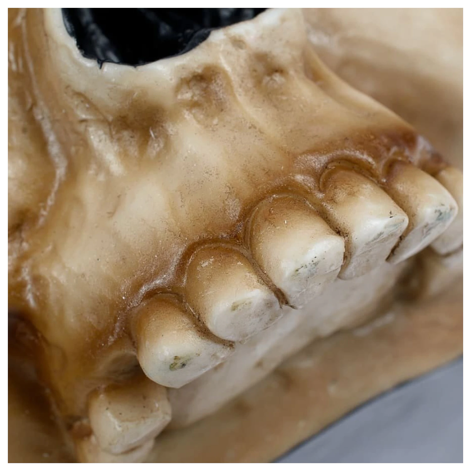 Warhammer 40,000 Hrnček Servo Skull produktová fotografia