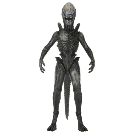 Alien: Earth Ultimate akčná figúrka Wendy's Xenomorph 18 cm produktová fotografia