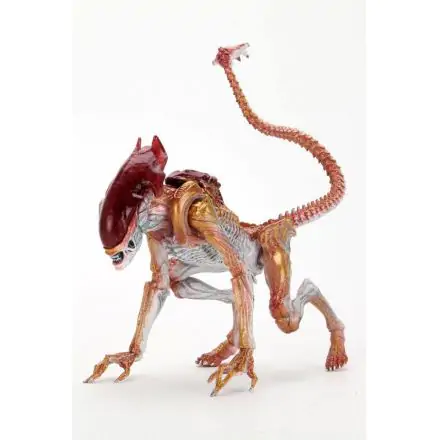 Figúrka Aliens Action Panther Alien (Kenner Tribute) 23 cm termékfotója