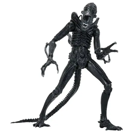 Aliens Ultimate Action Figure Warrior (1986) Xenomorph Black (40th Anniversary) 23 cm akčná figúrka produktová fotografia