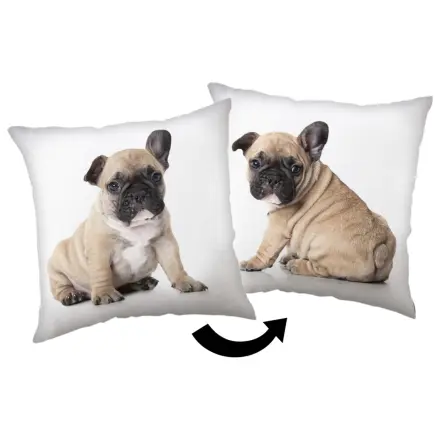 Bulldog vankúš produktová fotografia