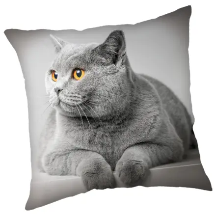 Sivé mačky obliečka na vankúš produktová fotografia