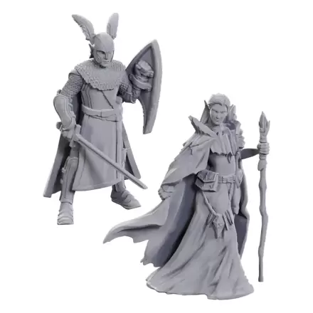 D&D Nolzur's Marvelous Miniatures 2-Pack 50th Anniversary Elves termékfotója