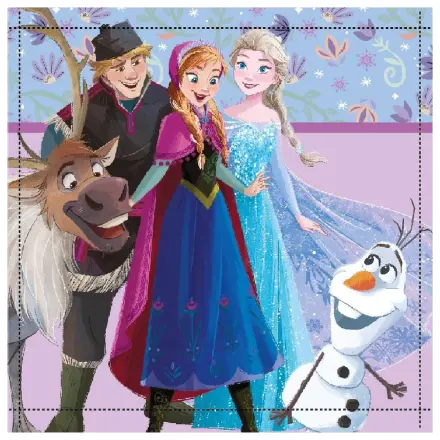 Disney Frozen Friends Forever uterák na ruky a tvár, uterák 30x30cm produktová fotografia