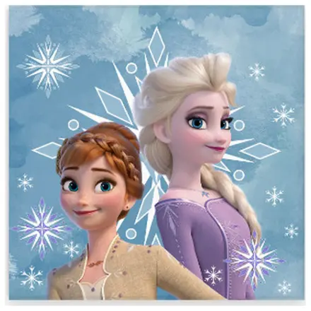 Disney Frozen Snowflake uterák na ruky, uterák na tvár, uterák produktová fotografia