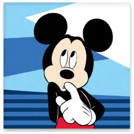 Disney Mickey Shy uterák na ruky, uterák na tvár, uterák produktová fotografia